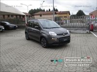 usata Fiat Panda 1.0 FireFly S&S Hybrid City Life