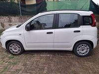 Usata Fiat Panda Pop 69 CV (50 kW) 2013 Bianco Utilitaria