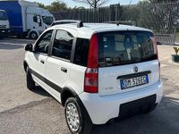 Usata Fiat Panda 4x4 2008 Utilitaria