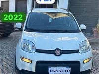 Usata Fiat Panda 70 CV (51 kW) 2022 Bianco Utilitaria