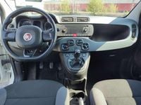 Usata Fiat Panda Easy 69 CV (50 kW) 2020 Bianco Utilitaria