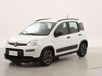Usata Fiat Panda City Life 71 CV (52 kW) 2021 Bianco Utilitaria