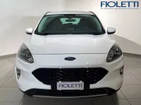 Usata Ford Kuga Business Edition 225 CV (165 kW) 2021 Bianco SUV