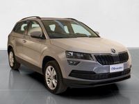 usata Skoda Karoq 2.0 tdi evo ambition 115cv