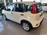 Usata Fiat Panda Cross Cross 69 CV (50 kW) 2024 Bianco Utilitaria