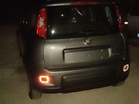 Usata Fiat Panda S 69 CV (50 kW) 2024 Utilitaria