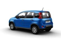 usata Fiat Panda Panda 1.21.2 GPL