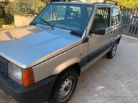 Usata Fiat Panda 4x4 2003 Utilitaria