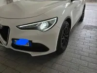 Usata Alfa Romeo Stelvio 160 CV (117 kW) 2021 Bianco SUV