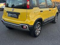 Usata Fiat Panda Cross Cross 80 CV (58 kW) 2015 Giallo Utilitaria