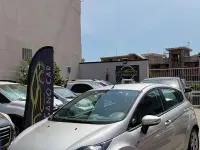 Usata Ford Fiesta Titanium 70 CV (51 kW) 2012 Grigio Berlina