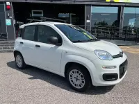 Usata Fiat Panda Easy 69 CV (50 kW) 2019 Bianco Utilitaria