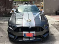 Usata Ford Mustang Fastback 317 CV (233 kW) 2019 Grigio Coupé
