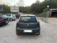 Usata Fiat Punto Easy 75 CV (55 kW) 2012 Grigio Berlina