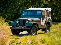 Usata Jeep Willys 70 CV (51 kW) 1958 Verde SUV