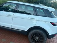 Usata Land Rover Range Rover evoque 150 CV (110 kW) 2012 Bianco SUV