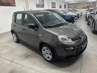 Usata Fiat Panda Cross Cross 70 CV (51 kW) 2023 Grigio Utilitaria