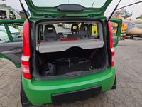 Usata Fiat Panda 4x4 60 CV (44 kW) 2006 Verde Utilitaria