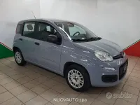 Usata Fiat Panda Easy 69 CV (50 kW) 2019 Grigio Utilitaria