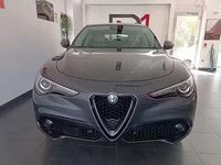 Usata Alfa Romeo Stelvio 160 CV (117 kW) 2019 Grigio SUV