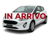 Usata Ford Fiesta Trend 86 CV (63 kW) 2019 Bianco Utilitaria