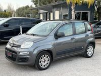 Usata Fiat Panda Easy 69 CV (50 kW) 2019 Grigio Utilitaria