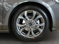 Usata Ford Focus ST-Line 155 CV (114 kW) 2025 Grigio Station wagon