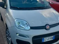 Usata Fiat Panda 85 CV (62 kW) 2015 Utilitaria