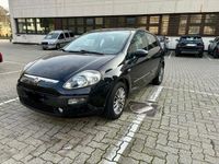 Usata Fiat Punto Evo 85 CV (62 kW) 2011 Nero Utilitaria