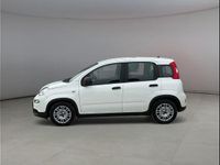Usata Fiat Panda S 69 CV (50 kW) 2023 Bianco Utilitaria