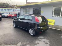 Usata Fiat Punto Easy 69 CV (50 kW) 2013 Nero Utilitaria