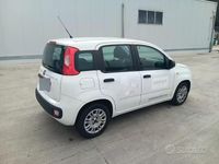 Usata Fiat Panda Easy 69 CV (50 kW) 2017 Bianco Utilitaria