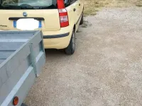 Usata Fiat Panda 2006 Giallo Utilitaria