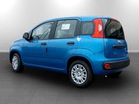 Nuova Fiat Panda Icon 70 CV (51 kW) 2025 Vari colori disponibili Utilitaria