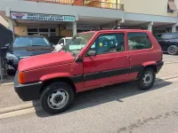Usata Fiat Panda 4x4 Trekking 54 CV (39 kW) 1999 Rosso Utilitaria
