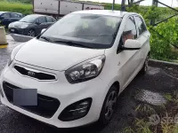 Usata Kia Picanto 69 CV (50 kW) 2014 Bianco Utilitaria