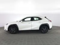 Usata Lexus UX 250h 152 CV (111 kW) 2024 Bianco perla SUV
