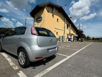 Usata Fiat Punto Lounge 69 CV (50 kW) 2014 Grigio Utilitaria