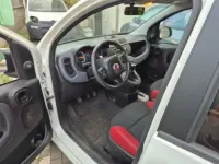 Usata Fiat Panda 4x4 86 CV (63 kW) 2020 Utilitaria