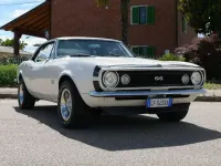 Usata Chevrolet Camaro SS 496 CV (364 kW) 1967 Bianco Coupé