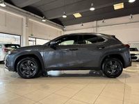 Usata Lexus UX 250h 184 CV (135 kW) 2024 Grigio scuro SUV