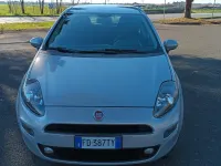 Usata Fiat Punto Lounge 69 CV (50 kW) 2016 Argento Utilitaria