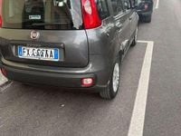 Usata Fiat Panda Easy 69 CV (50 kW) 2019 Grigio Utilitaria