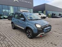 usata Fiat Panda Cross 1.0 FireFly S&S Hybrid