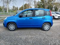 Nuova Fiat Panda Icon 65 CV (47 kW) 2026 Blu/azzurro Utilitaria