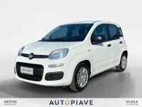 Usata Fiat Panda S 69 CV (50 kW) 2025 Bianco Utilitaria