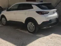 Usata Opel Grandland X 131 CV (96 kW) 2019 Bianco SUV