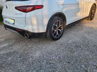 usata Alfa Romeo Stelvio Stelvio 2.2 Turbodiesel 190 CV Vendoexecutive 190 cv q2