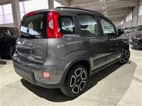 usata Fiat Panda Cross 1.0 FireFly S&S Hybrid City usato