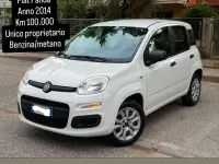 Usata Fiat Panda Lounge 80 CV (58 kW) 2014 Bianco Utilitaria